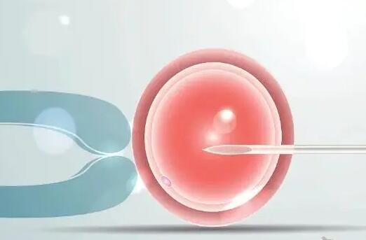 试管只配成一个优质胚胎医却建议直接做移植手术是为什么